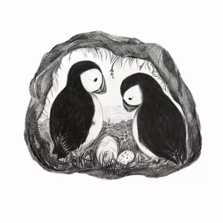 A black and white book illustration of two puffins in their den with two eggs. 